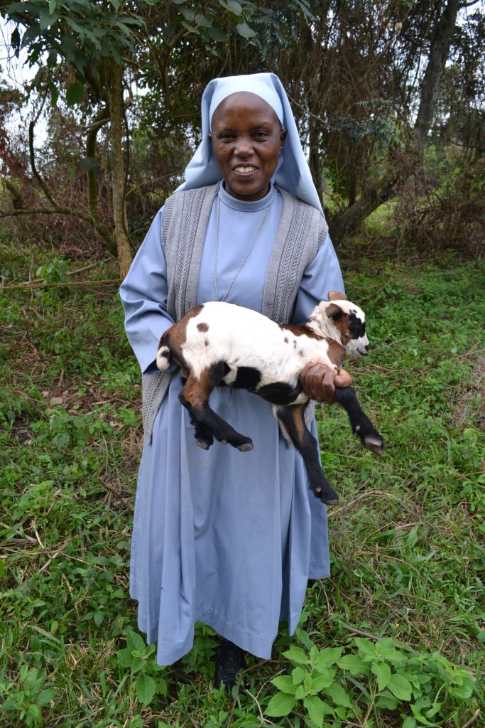 nun in blue habit with grey vest holds young brown, black, and white goat